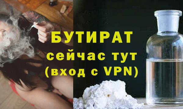 шишки Коряжма