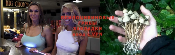 шишки Коряжма