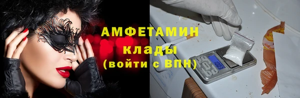 шишки Коряжма