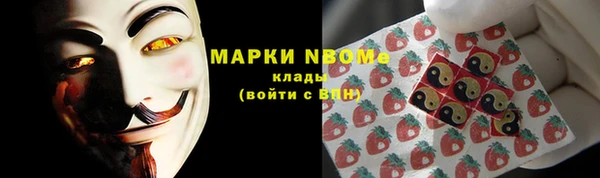 ECSTASY Костерёво