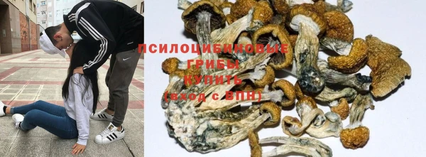 ГАЛЛЮЦИНОГЕННЫЕ ГРИБЫ Краснотурьинск