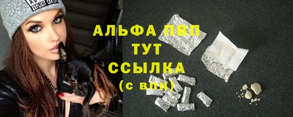 шишки Коряжма