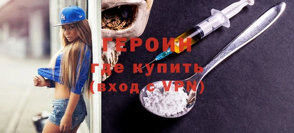 индика Козельск