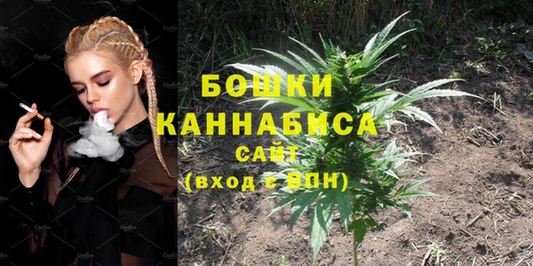 ГАЛЛЮЦИНОГЕННЫЕ ГРИБЫ Краснотурьинск