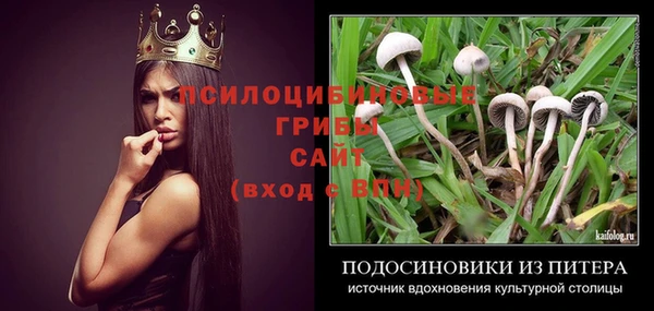 ECSTASY Костерёво