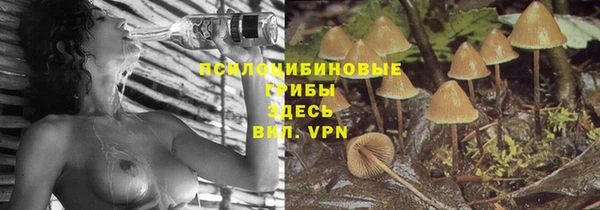 ECSTASY Костерёво