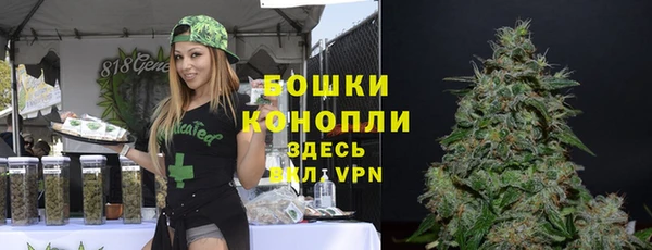 ГАЛЛЮЦИНОГЕННЫЕ ГРИБЫ Краснотурьинск