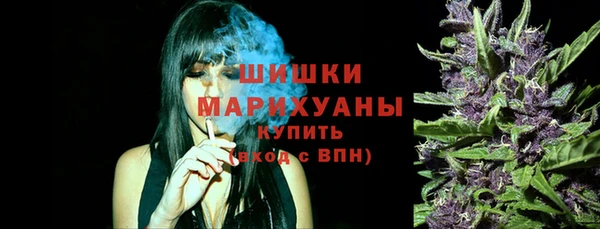 шишки Коряжма