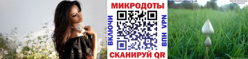 Галлюциногенные грибы Psilocybine cubensis  купить наркотик  KRAKEN ССЫЛКА  Красавино 